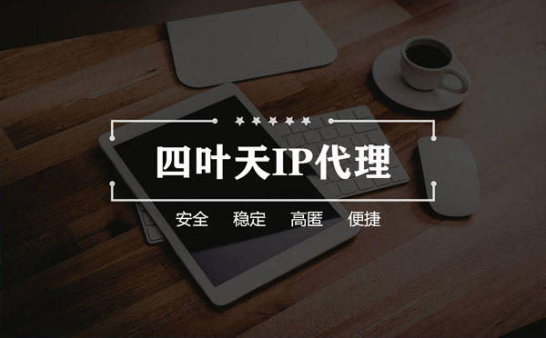 【东海代理IP】如何快速搭建代理IP？怎么检查代理的效果？